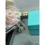 티파니 식스틴 스톤 귀걸이