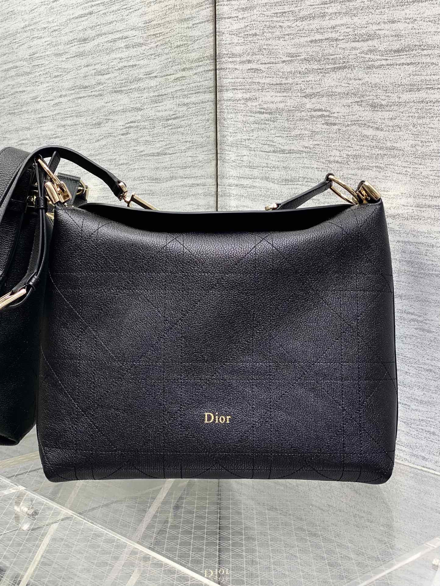 디올리 백 미디엄